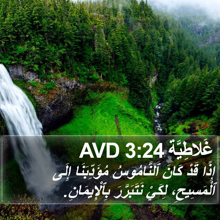غَلاطِيَّة 3:24 AVD Bible Study