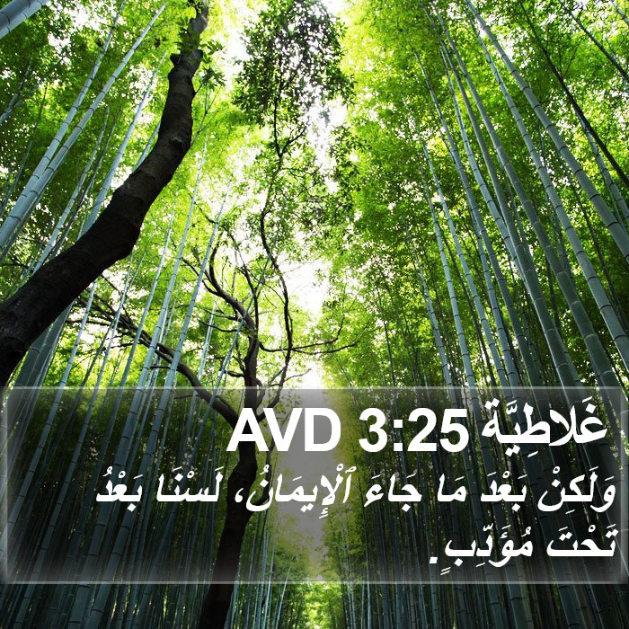 غَلاطِيَّة 3:25 AVD Bible Study