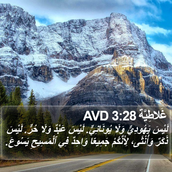 غَلاطِيَّة 3:28 AVD Bible Study