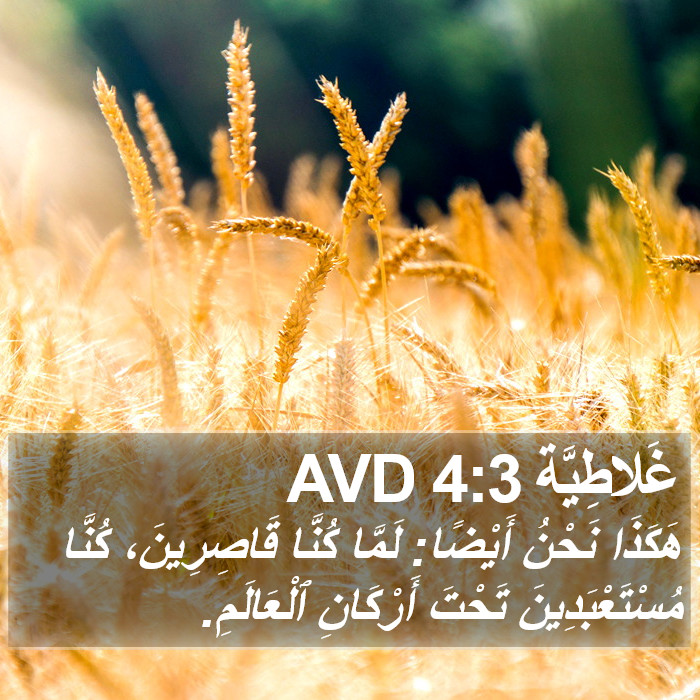 غَلاطِيَّة 4:3 AVD Bible Study