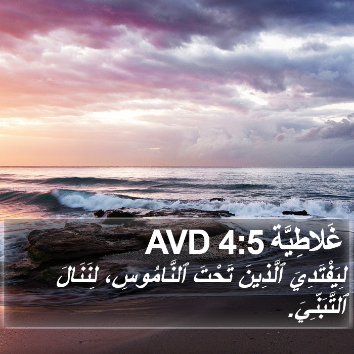 غَلاطِيَّة 4:5 AVD Bible Study