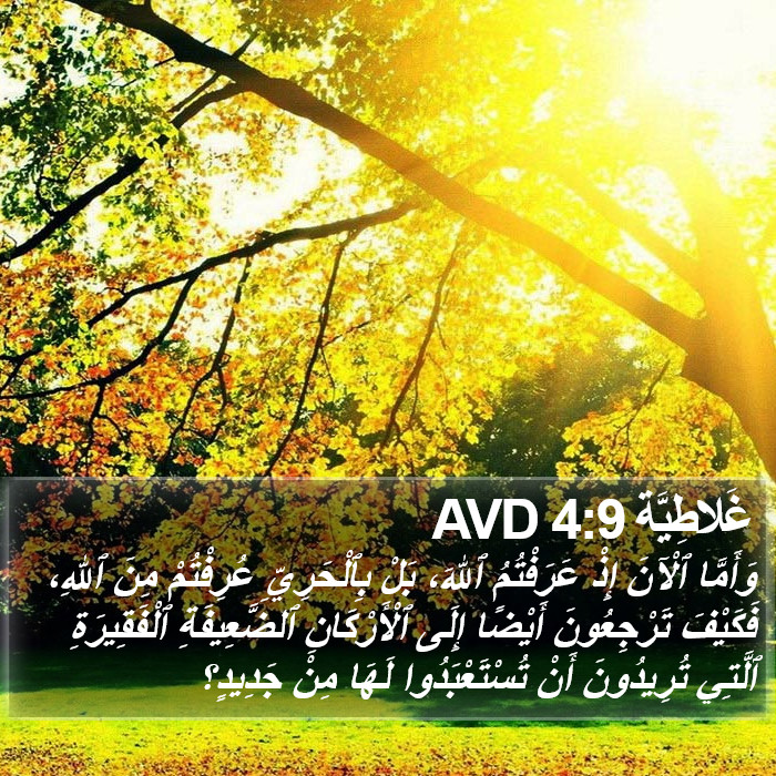 غَلاطِيَّة 4:9 AVD Bible Study