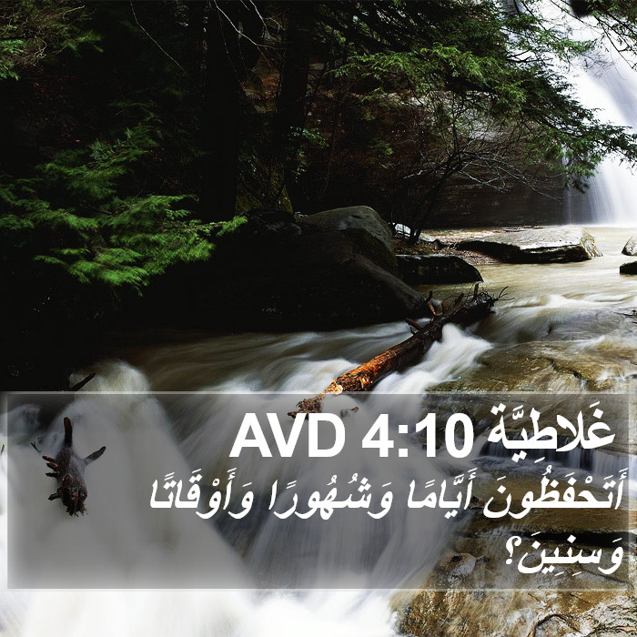 غَلاطِيَّة 4:10 AVD Bible Study