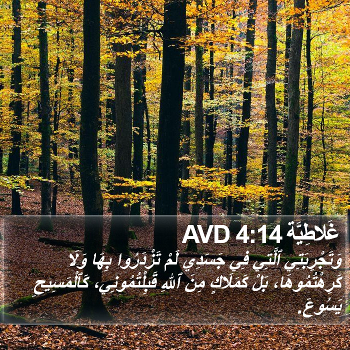 غَلاطِيَّة 4:14 AVD Bible Study