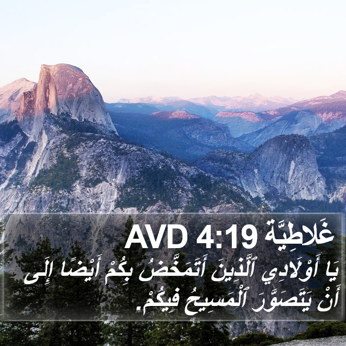 غَلاطِيَّة 4:19 AVD Bible Study
