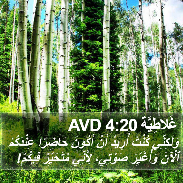 غَلاطِيَّة 4:20 AVD Bible Study