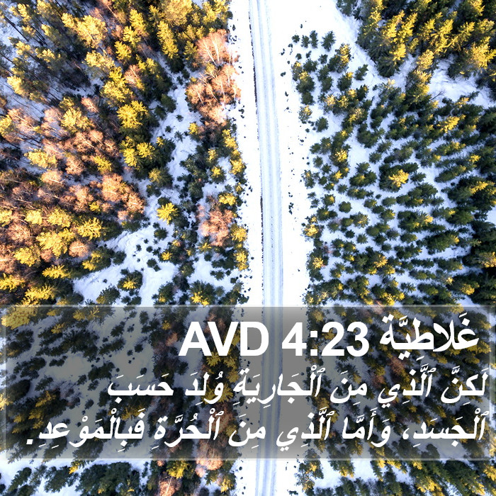 غَلاطِيَّة 4:23 AVD Bible Study