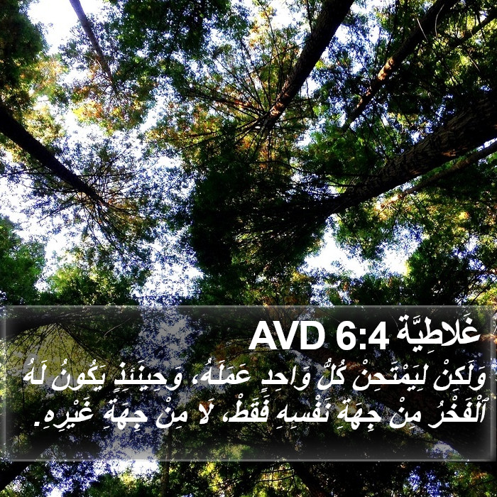 غَلاطِيَّة 6:4 AVD Bible Study
