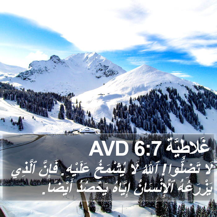غَلاطِيَّة 6:7 AVD Bible Study