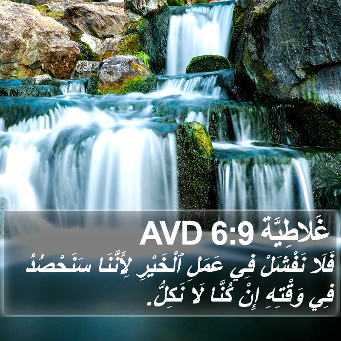 غَلاطِيَّة 6:9 AVD Bible Study