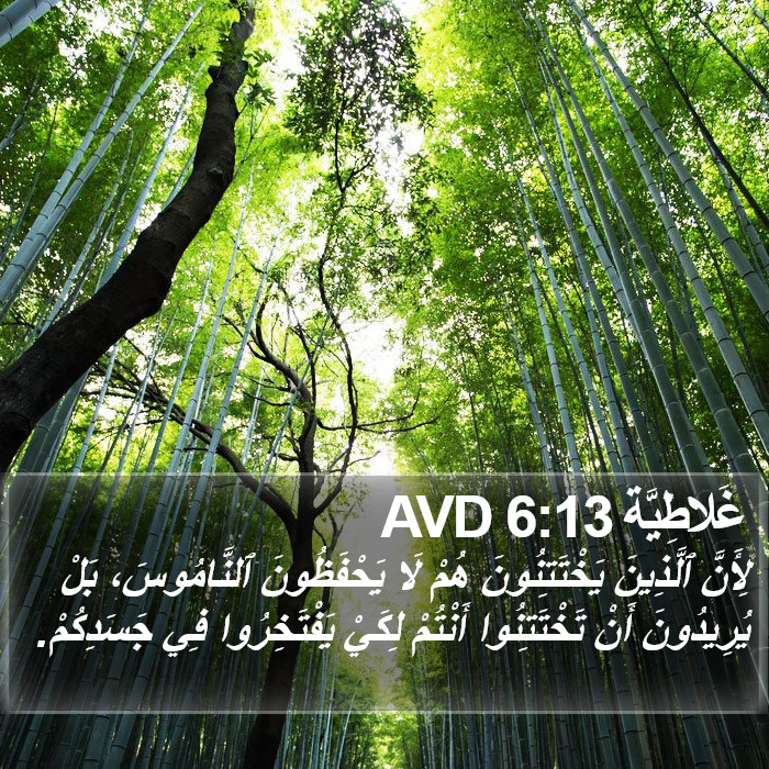غَلاطِيَّة 6:13 AVD Bible Study