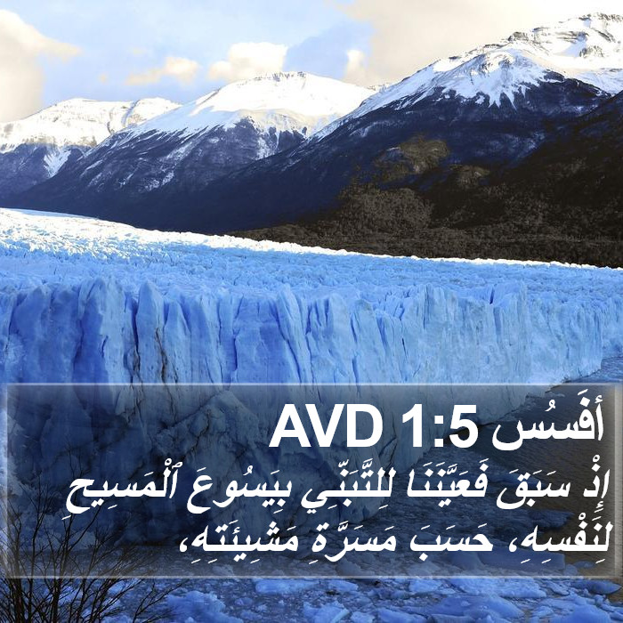 أفَسُس 1:5 AVD Bible Study