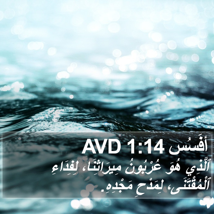 أفَسُس 1:14 AVD Bible Study