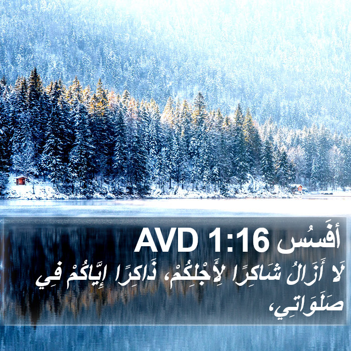 أفَسُس 1:16 AVD Bible Study