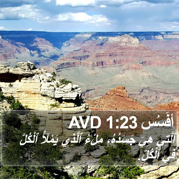 أفَسُس 1:23 AVD Bible Study