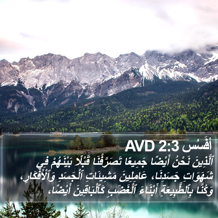 أفَسُس 2:3 AVD Bible Study