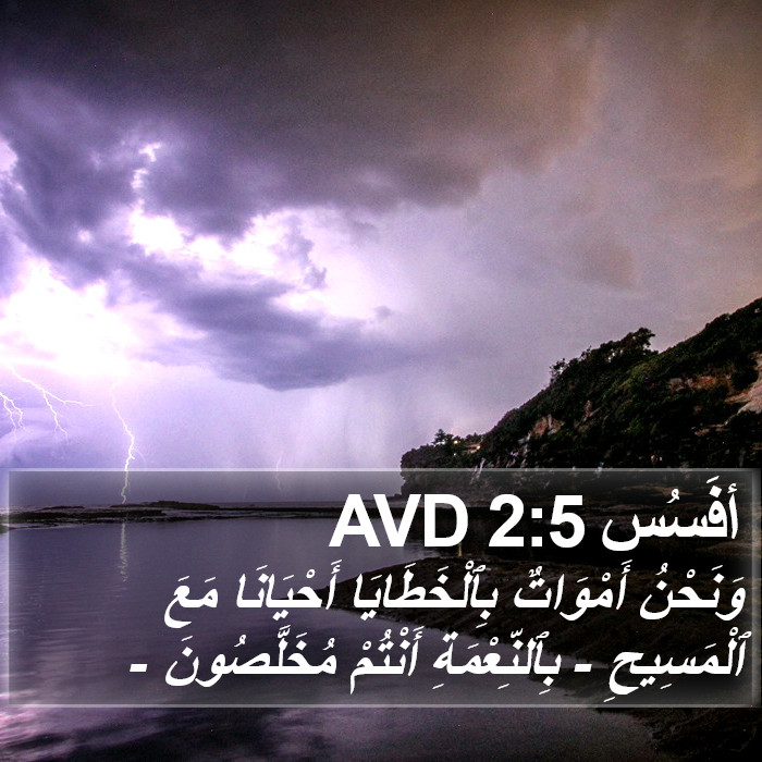 أفَسُس 2:5 AVD Bible Study