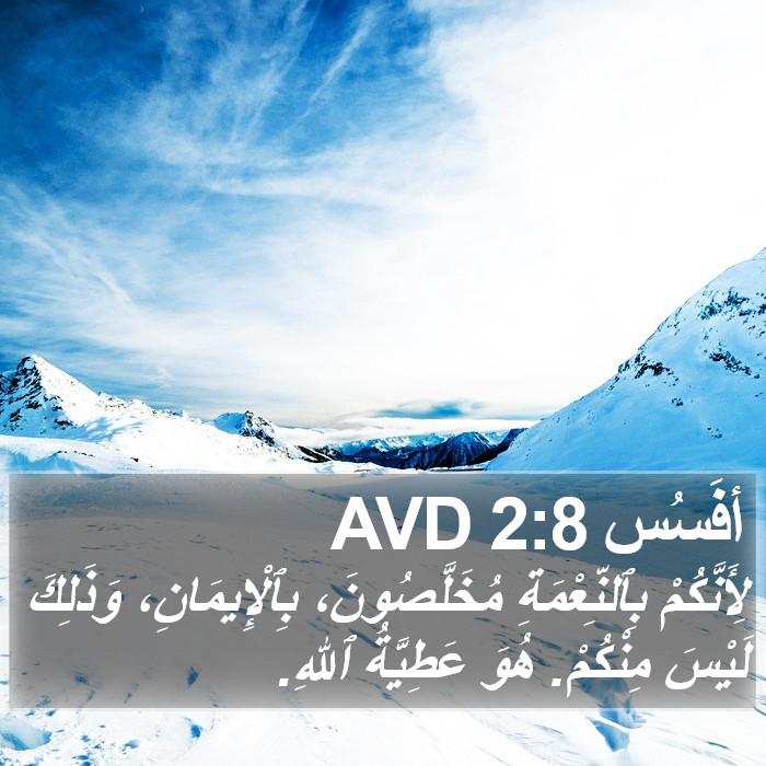 أفَسُس 2:8 AVD Bible Study