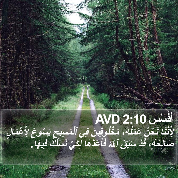 أفَسُس 2:10 AVD Bible Study
