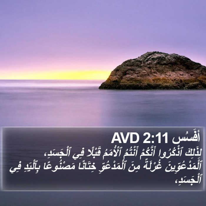 أفَسُس 2:11 AVD Bible Study