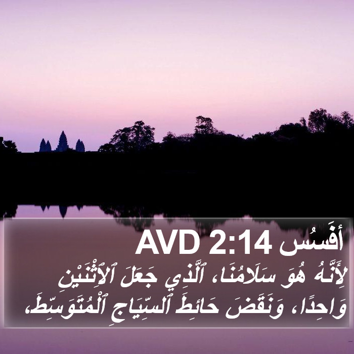 أفَسُس 2:14 AVD Bible Study