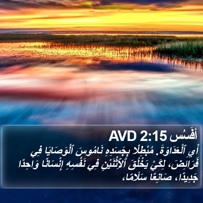 أفَسُس 2:15 AVD Bible Study