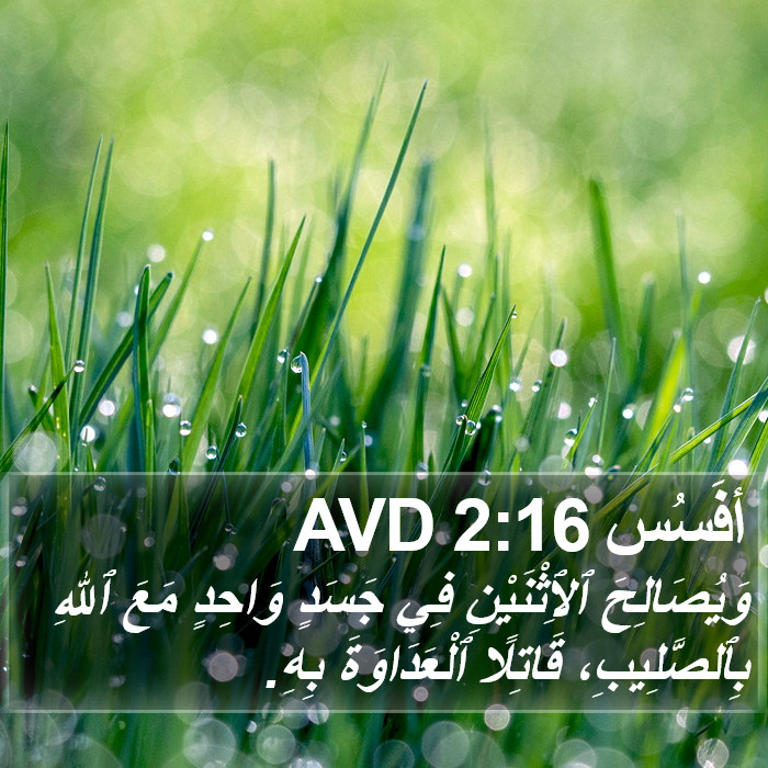 أفَسُس 2:16 AVD Bible Study