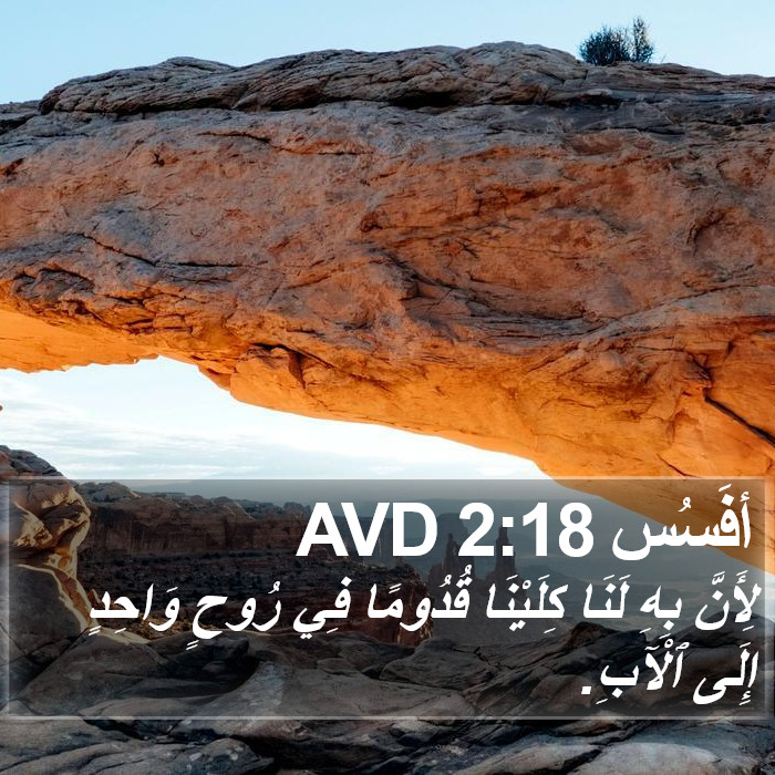 أفَسُس 2:18 AVD Bible Study