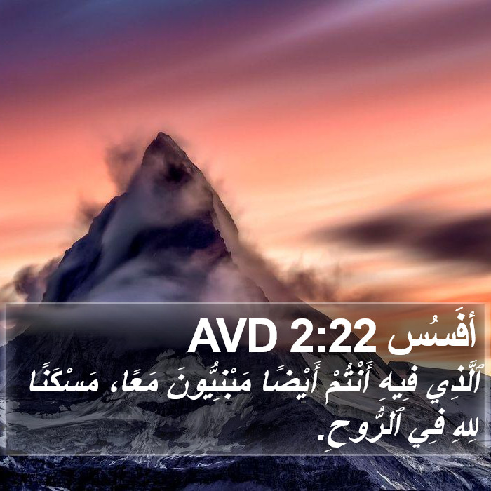 أفَسُس 2:22 AVD Bible Study