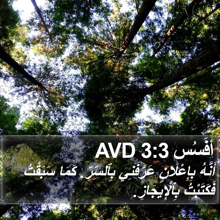 أفَسُس 3:3 AVD Bible Study