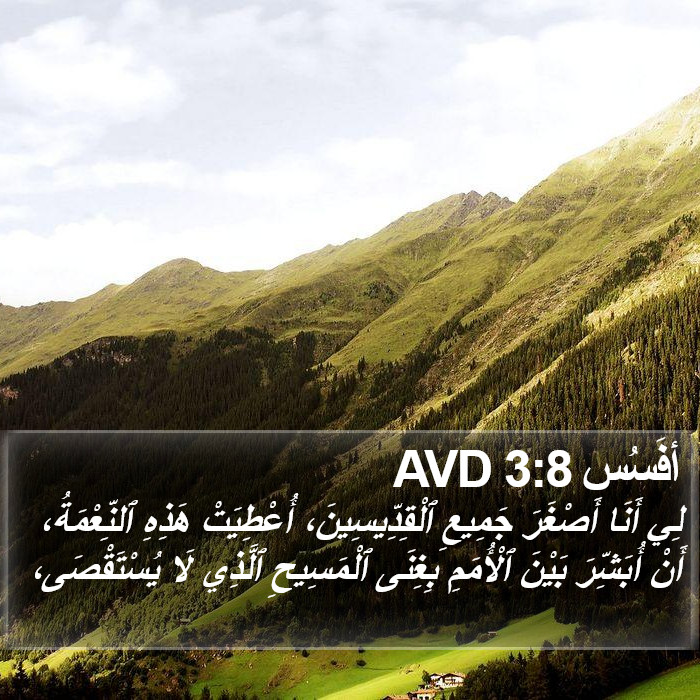 أفَسُس 3:8 AVD Bible Study