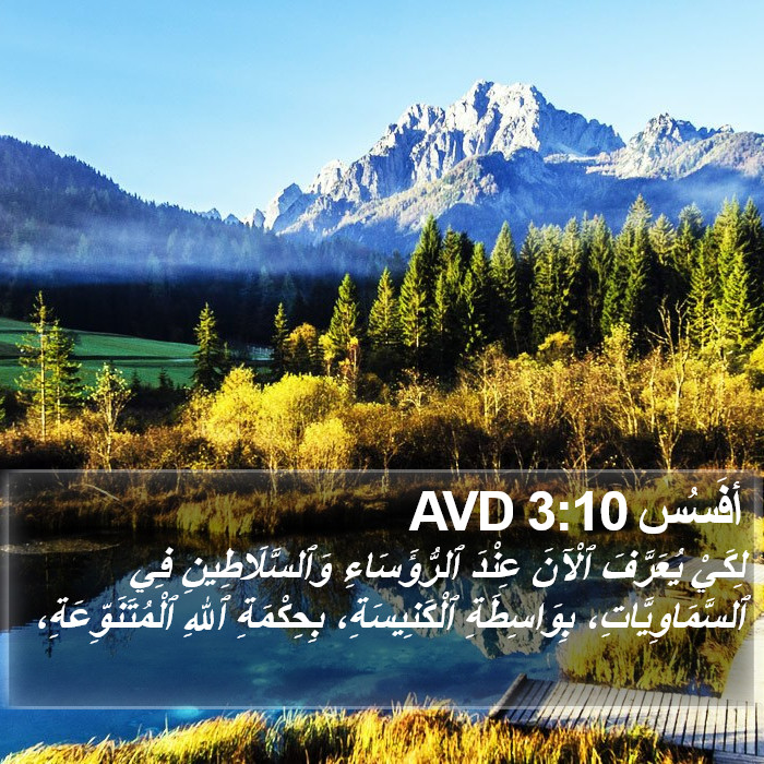 أفَسُس 3:10 AVD Bible Study