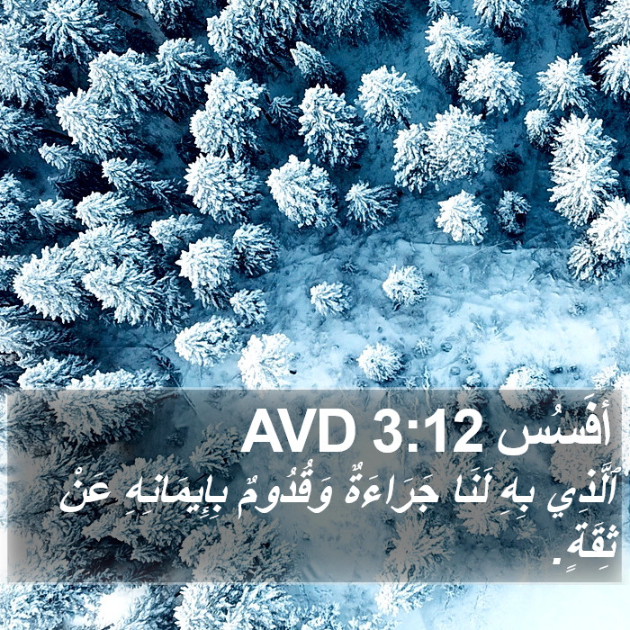 أفَسُس 3:12 AVD Bible Study