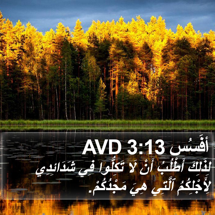 أفَسُس 3:13 AVD Bible Study