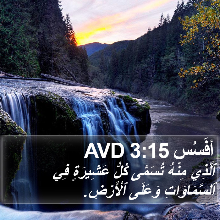 أفَسُس 3:15 AVD Bible Study