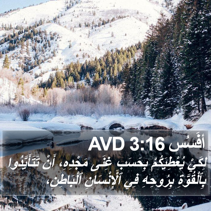 أفَسُس 3:16 AVD Bible Study