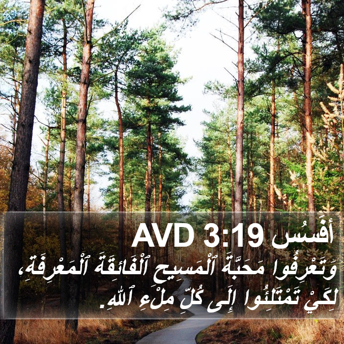أفَسُس 3:19 AVD Bible Study