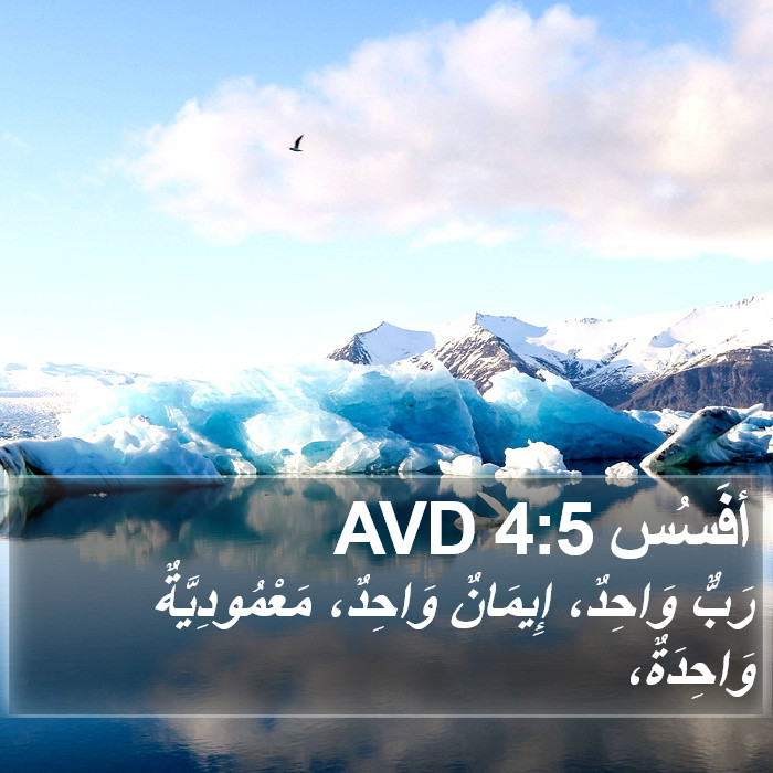 أفَسُس 4:5 AVD Bible Study