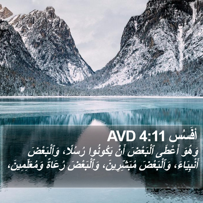 أفَسُس 4:11 AVD Bible Study