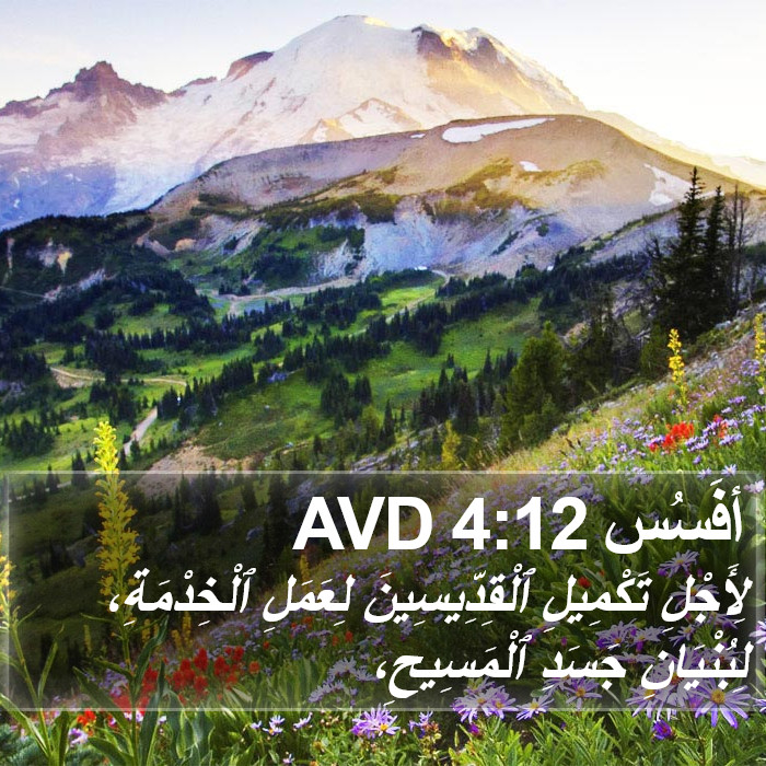 أفَسُس 4:12 AVD Bible Study
