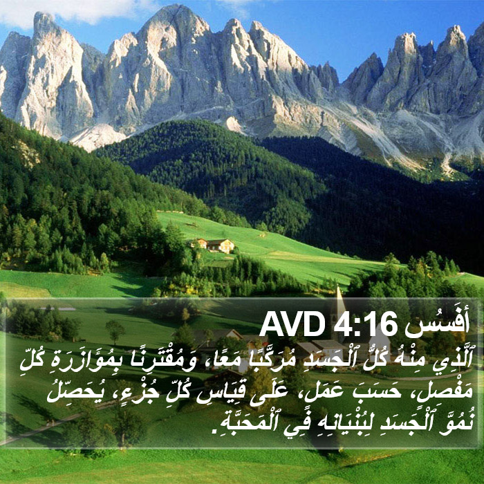 أفَسُس 4:16 AVD Bible Study