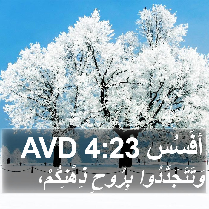 أفَسُس 4:23 AVD Bible Study