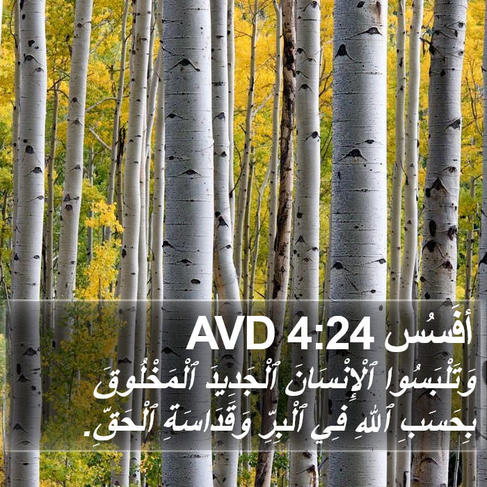 أفَسُس 4:24 AVD Bible Study