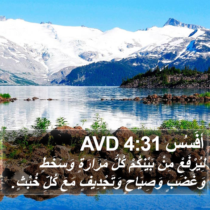 أفَسُس 4:31 AVD Bible Study