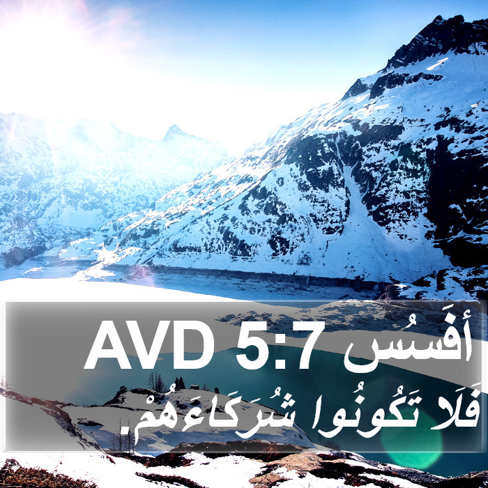 أفَسُس 5:7 AVD Bible Study