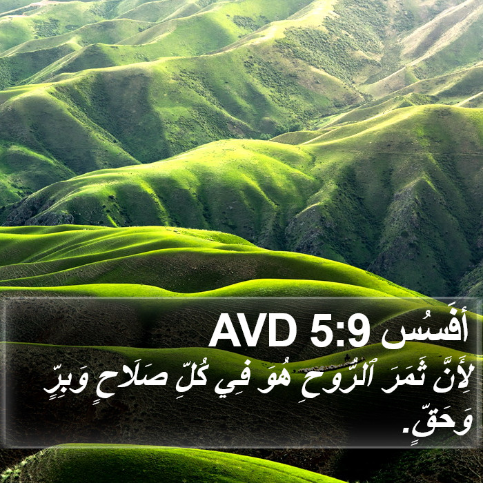 أفَسُس 5:9 AVD Bible Study