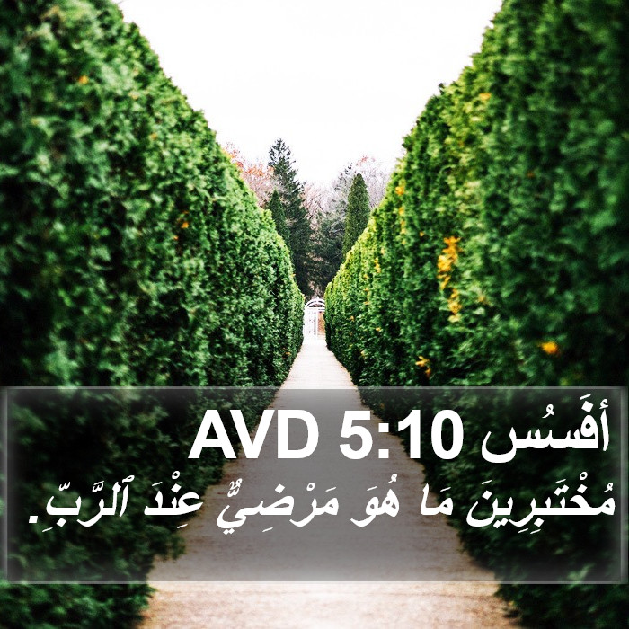 أفَسُس 5:10 AVD Bible Study