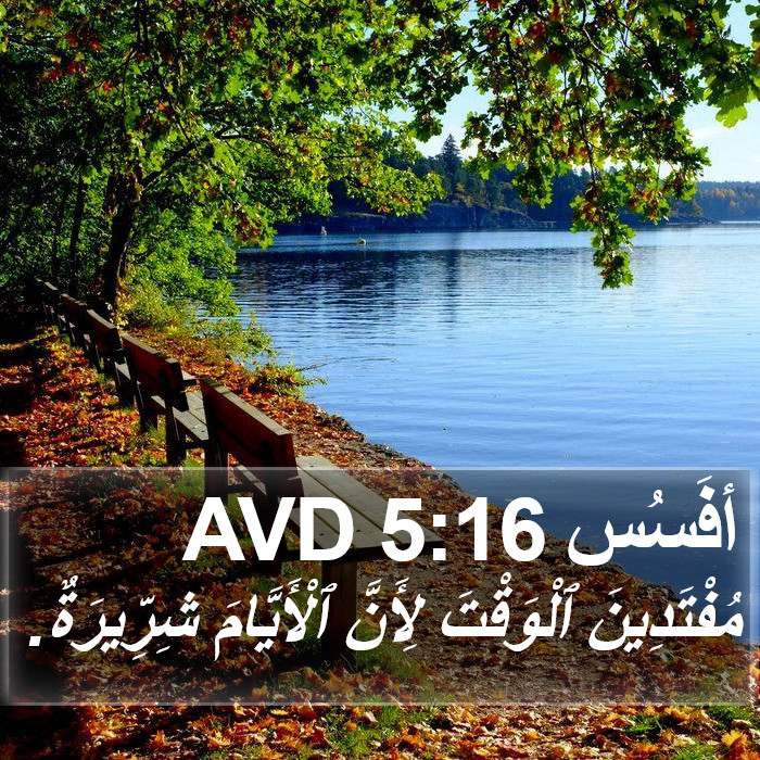 أفَسُس 5:16 AVD Bible Study