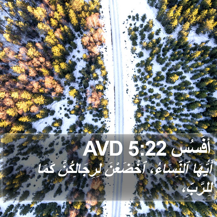 أفَسُس 5:22 AVD Bible Study