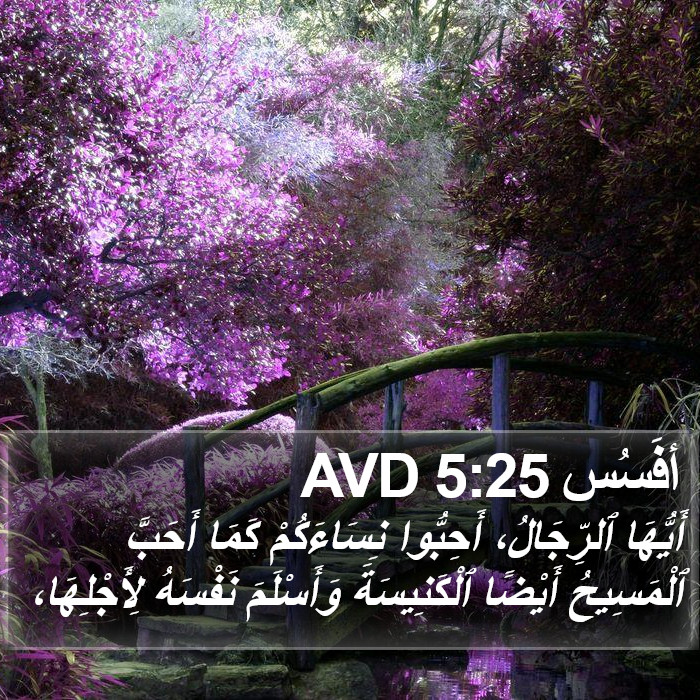 أفَسُس 5:25 AVD Bible Study